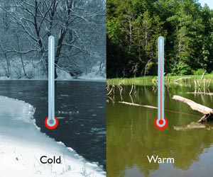 How to Properly Measure Water Temperatures In The Open Water