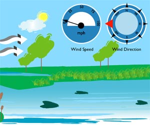 What is the relationship between wind speed and direction?