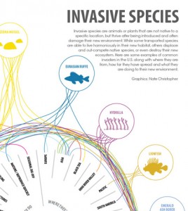 Infographic Invasive Species Environmental Monitor