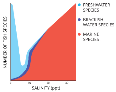 salinity_species