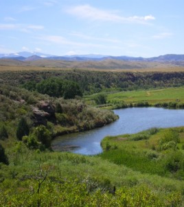 Environmental Monitor | Study: Colorado irrigation canals support rare ...