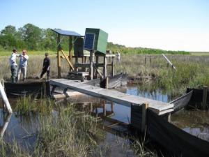 North River Farms: A living laboratory for coastal wetland restoration