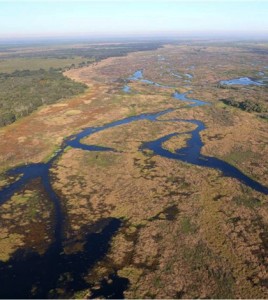 Environmental Monitor | Kissimmee River shows signs of recovery amidst ...