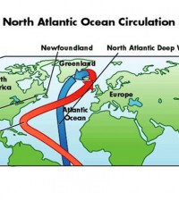 Environmental Monitor | Gulf Stream weakening could have big impacts