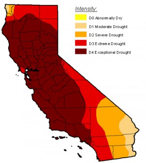 Environmental Monitor | Global Warming Has Worsened California Drought