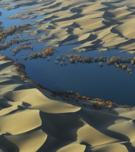 Environmental Monitor | Missing Carbon Sink Found In Desert Aquifers