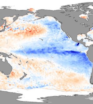 Environmental Monitor | Transition To La Niña Seems Likely