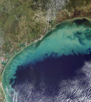 Environmental Monitor | Gulf Of Mexico Dead Zone Forecast For 2016