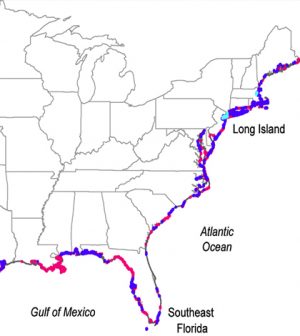 Environmental Monitor | Scientists Document Groundwater And Seawater ...