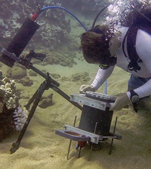 Environmental Monitor | New Benthic Underwater Microscope Captures ...