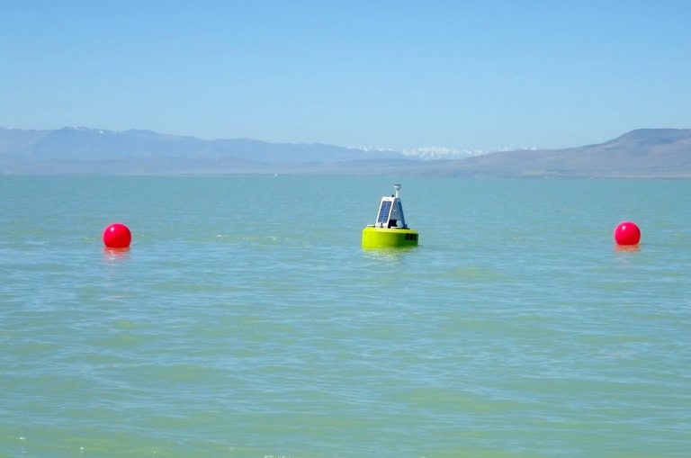 Environmental Monitor Algae Bloom Spawns New Water Monitoring Program