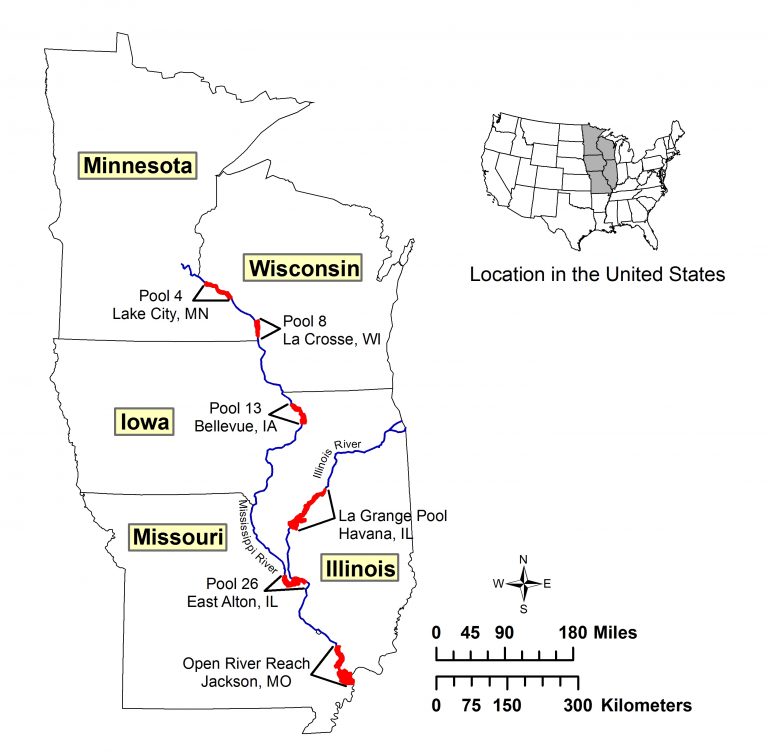 Environmental Monitor | Monitoring the Mississippi: Wild Celery ...