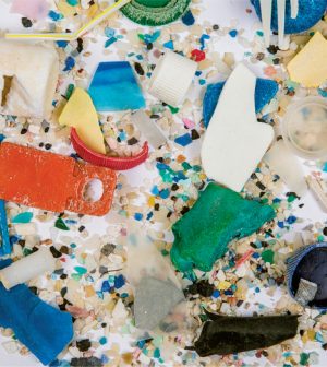microplastic invades ecosystems
