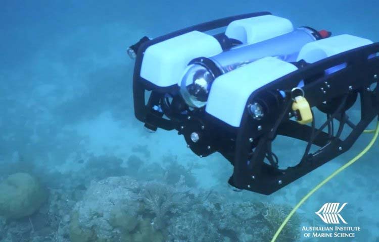 Environmental Monitor | Underwater Robots To Monitor The Great Barrier Reef