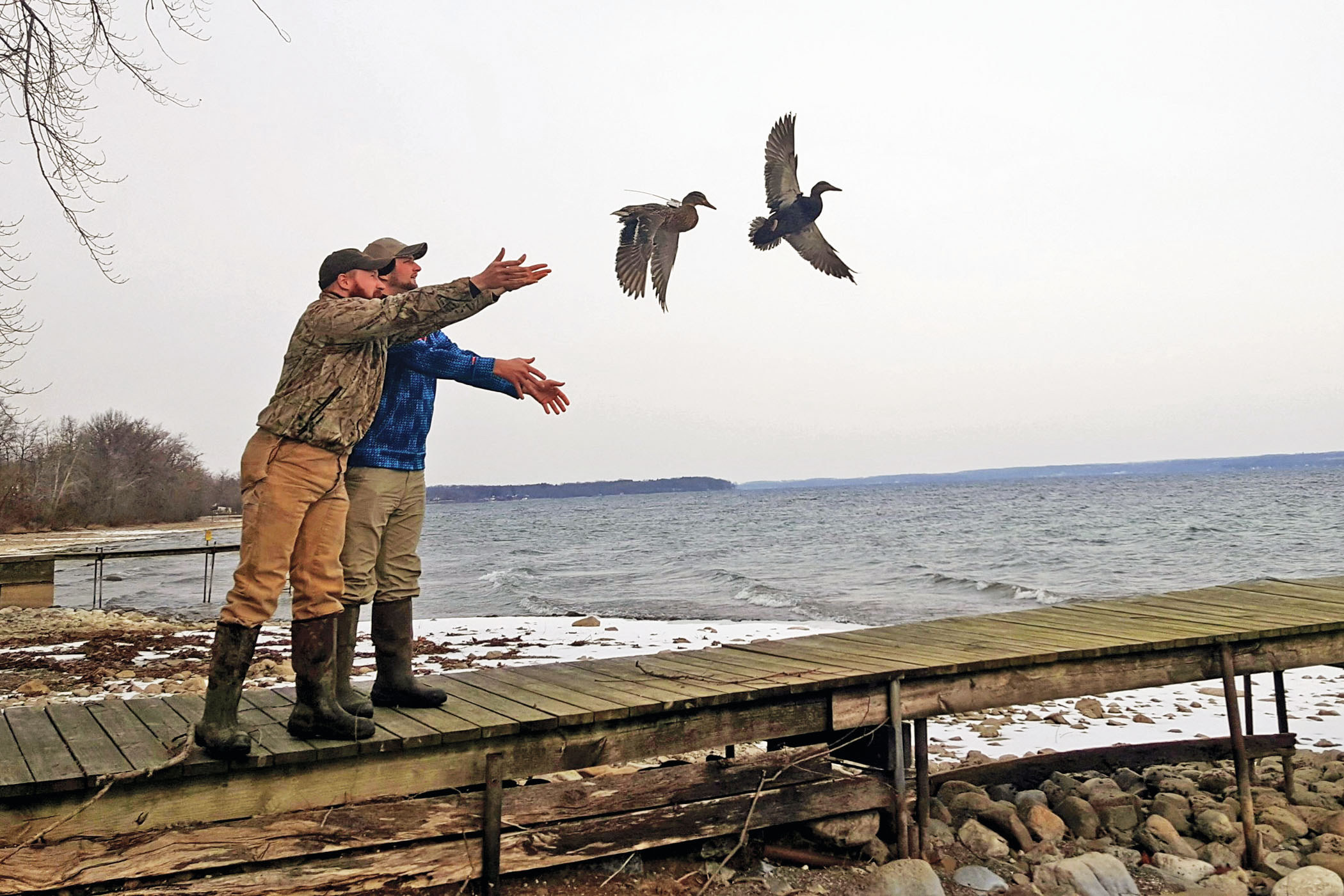 Environmental Monitor  Ducks Unlimited Works Hard to Conserve and Restore  North Atlantic Wildlife Habitat