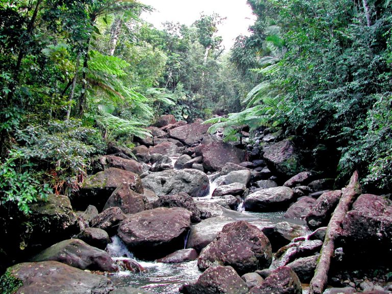 Environmental Monitor Hurricanes Are Changing Puerto Rico's Watersheds