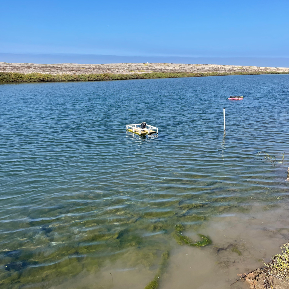 A small buoy holding the Manta3 sonde in the Tijuana River Estuary