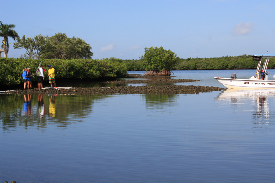 Janiak and his team monitor oyster reefs in the Indian River Lagoon.