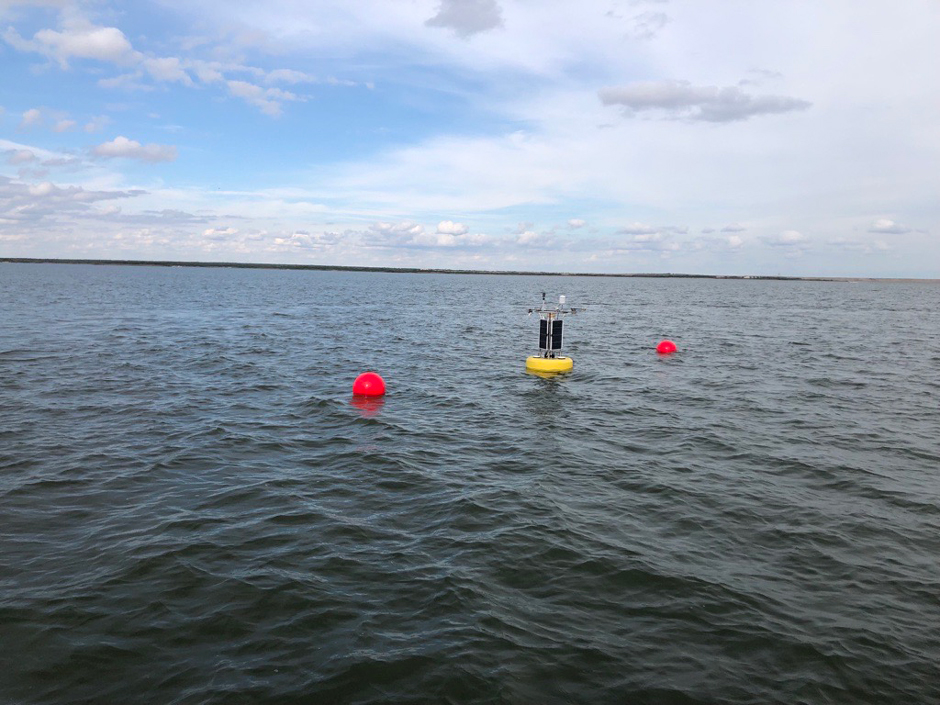 Buoy on Choke Canyon Reservoir.