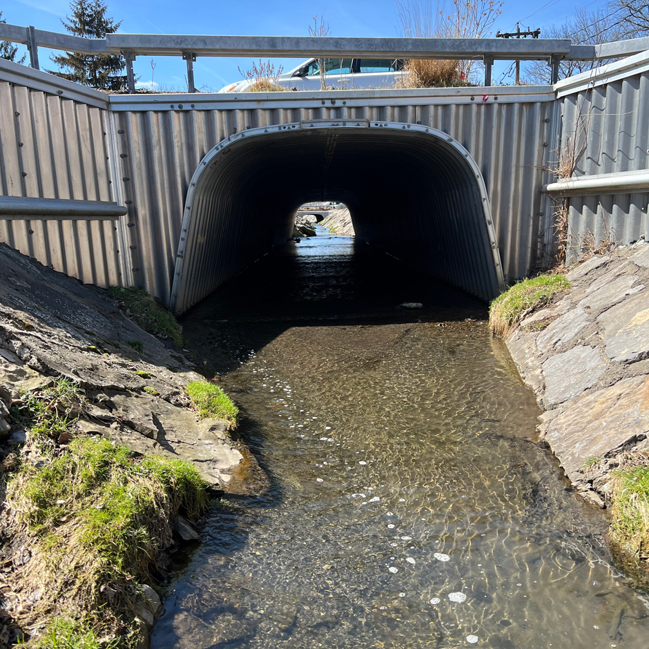 A segment of the upstream disconnected zone of Meadowbrook Creek. 